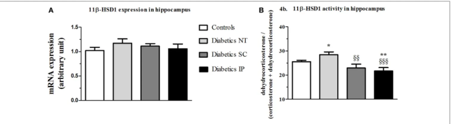 FigUre 4 | 11β-hsD1 expression and activity (percent conversion) in hippocampus. 11 β -HSD1, 11 β -hydroxysteroid dehydrogenase type 1; Diabetics NT,  untreated diabetic rats; Diabetics SC, diabetic rats treated with subcutaneous insulin; Diabetics IP, dia
