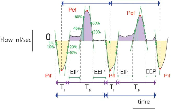 Figure 25. Représentation de la détermination des différents paramètres  ventilatoire au cours d’un cycle respiratoire (Krejci E)