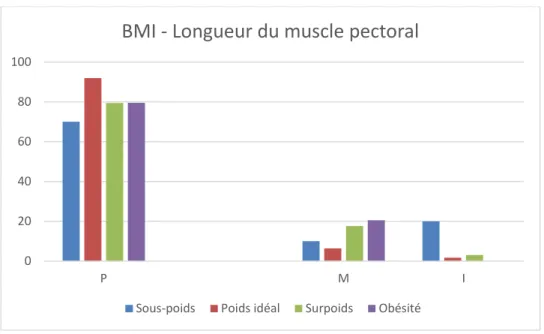 Graphique 17: Le BMI et la longueur du muscle pectoral 