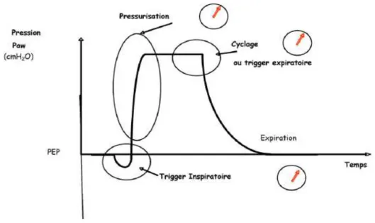 Figure 1 : Les différentes phases de la synchronisation en aide inspiratoire: Tiré de Vignaux,  et al., 2008, p