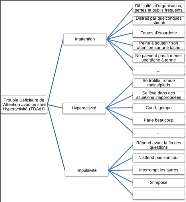 Figure 1 (Concept de TDA/H avec dimensions et indicateurs) Trouble Déficitaire de 