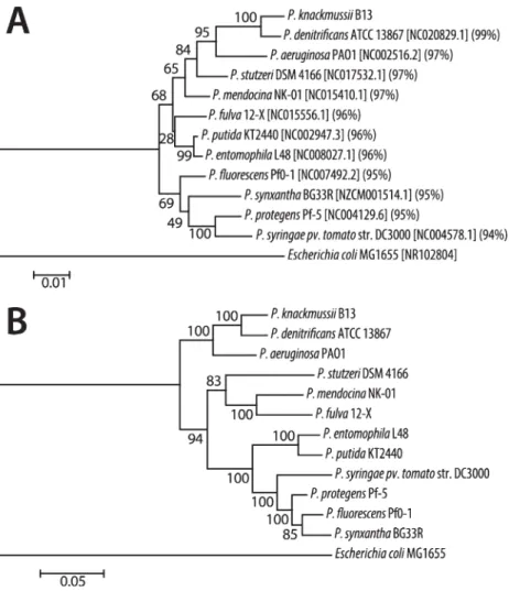 Fig. 2. Phylogenetic analysis of