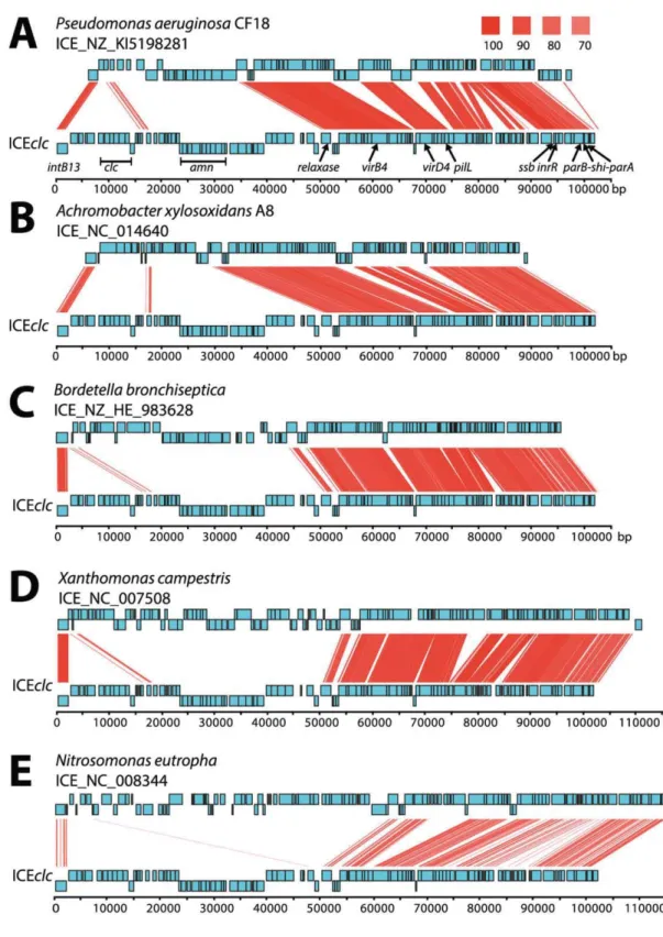 Fig. 4. Detailed comparisons of ICEclc with putative ICE regions in ﬁve other bacterial genomes.