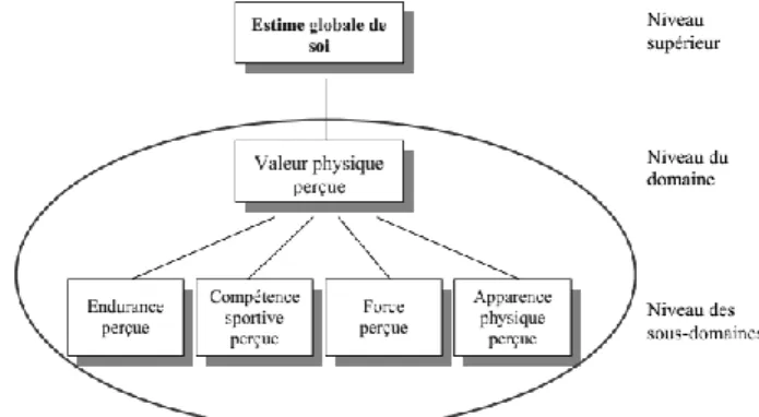 Figure 3 : Modélisation hiérarchique de l’estime globale de soi et du soi physique   (d’après Fox et Corbin, 1989) 