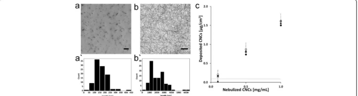 Figure 1 Morphology of CNCs in stock suspension. Transmission electron microscopy images of c-CNCs (a) and t-CNCs (b) after dispersion in ultrapure water