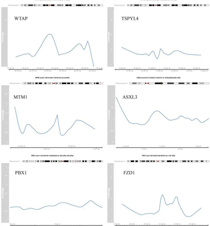 Figure 3b. The genomic coordinates are indicating the peak region. The distance (d) to the TSS of the target gene is provided.