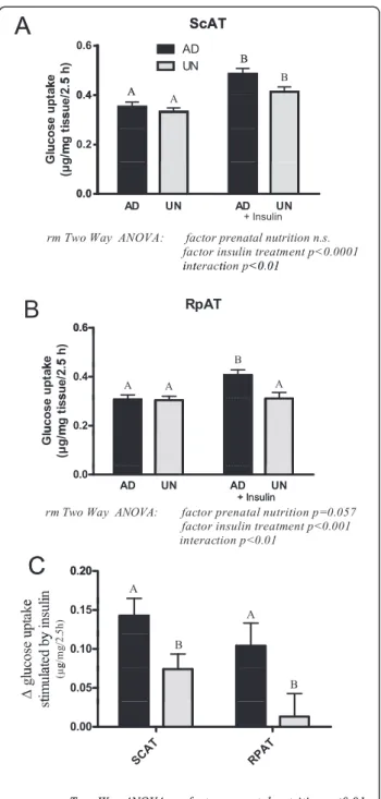 Figure 3 Insulin-stimulated glucose uptake in subcutaneous (ScAT; A) and retroperitoneal (RpAT; B) ex vivo adipose tissue explants
