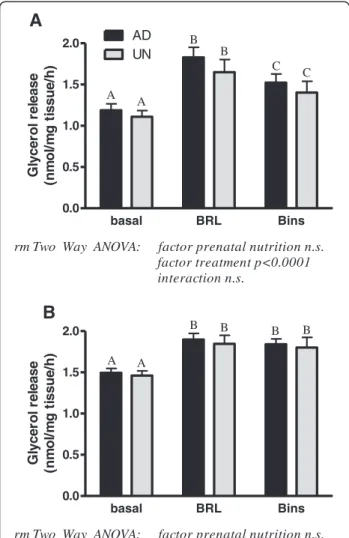 Figure 5 Lipolytic response as assess by glycerol release to beta 3 -adrenergic stimulation in subcutaneous (ScAT, A) and retroperitoneal (RpAT, B) adipose tissue explants ex vivo of prenatally adequately nourished AD and prenatally undernourished UN rat o
