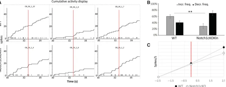 Fig. 7. Notch1cKOkln MCs display increased signal inhibition upon amyl acetate. (A) Representative cumulative activity plots for three cells in a wildtype and Notch1cKOKln show how the ﬁ ring response of each cell develops before and after the odour (red l