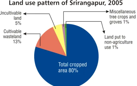Figure 7: Land use pattern of Srirangapur, 2005