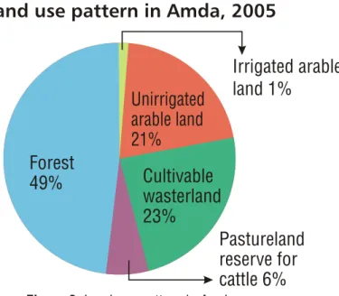 Figure 9: Land use pattern in Amda