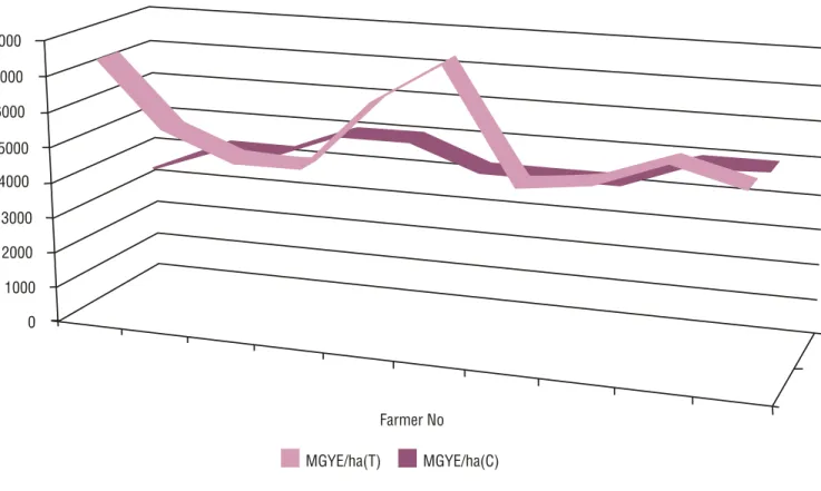 Figure 13: Maize Grain Yield Equivalent (kg/ha)