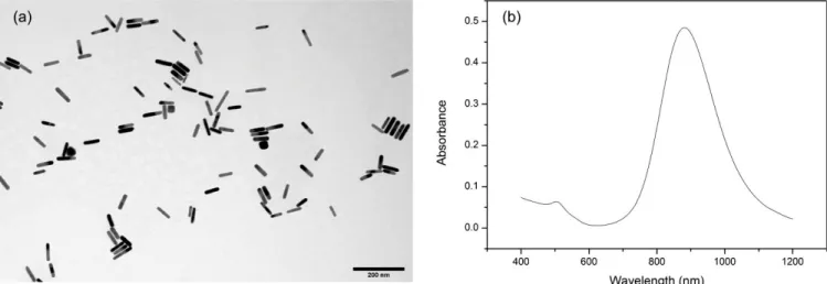 Figure S1. (a) TEM of GNRs after washing twice by centrifugation and redispersion in water
