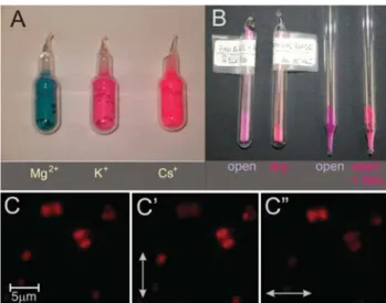 Figure 2. HR−ZL composites. (A) Inﬂuence of the co-cation on the color of the dried (evacuated) samples