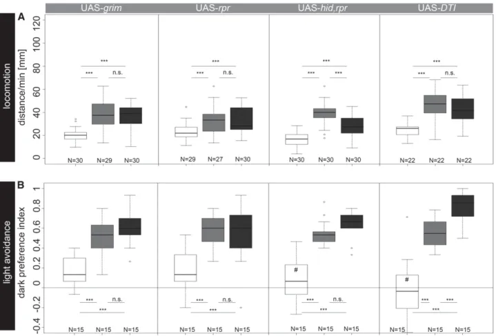 Figure 1 (A) Locomotor behavior after Tdc2-Gal4-driven ablation of OA/TA neurons with UAS-grim, UAS-rpr, UAS-hid,rpr, or UAS-DTI