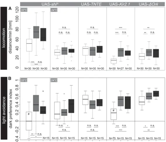 Figure 2 (A) Locomotor behavior after neuronal silencing of OA/TA neurons via expression of  UAS-shi ts , UAS-TNTE, UAS-Kir2.1, or UAS- D ORK