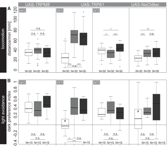 Figure 3 (A) Locomotor behavior after arti ﬁ cial activation of OA/TA neurons using Tdc2-Gal4-directed expression of TRPM8, TRPA1, and  UAS-NaChBac