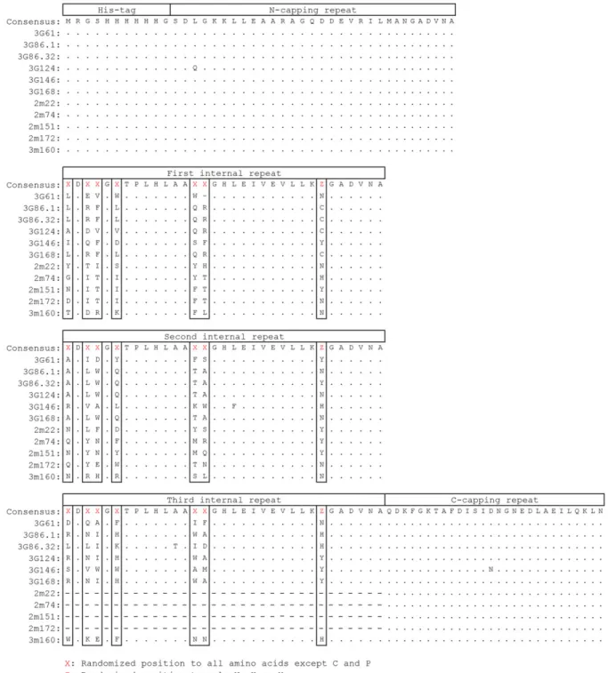 Fig. S9. Alignment of DARPins. Sequence-based alignment of selected DARPins. The top row indicates the consensus sequence used in the library with randomized positions indicated as X (randomization to all amino acids but Cys and Pro) and Z (randomization t