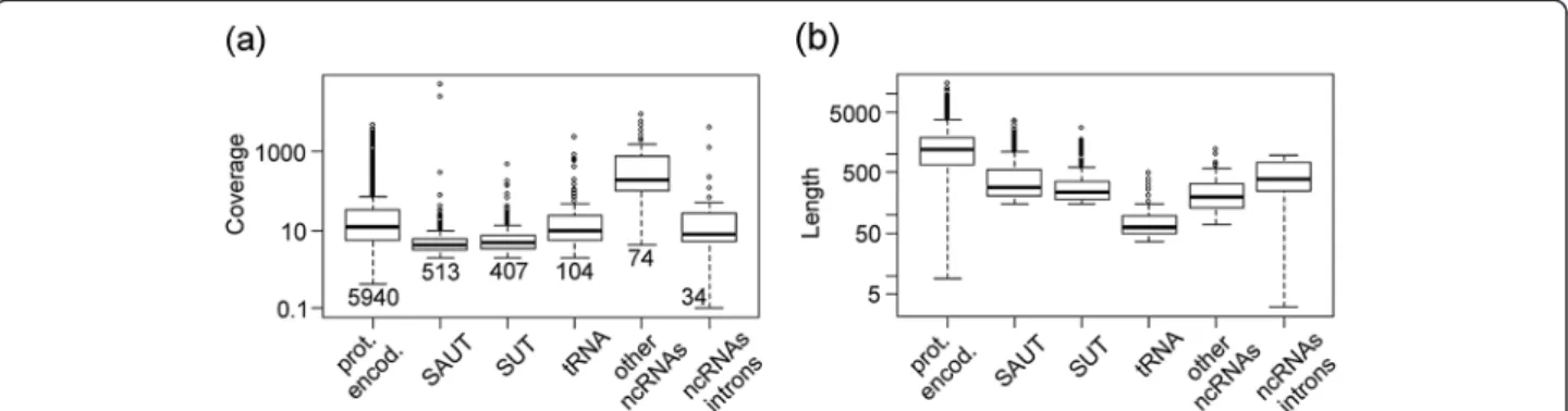 Figure 5 Coverage (a) and length (b) of six classes of transcripts identified by ORA in the S288c strain at 6 g/l