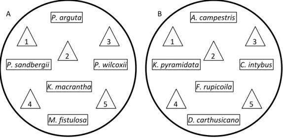 Fig.  S3.  The  arrangement  of  five  North  American  (A)  and  European  (B)  native  neighbour  plants and five C