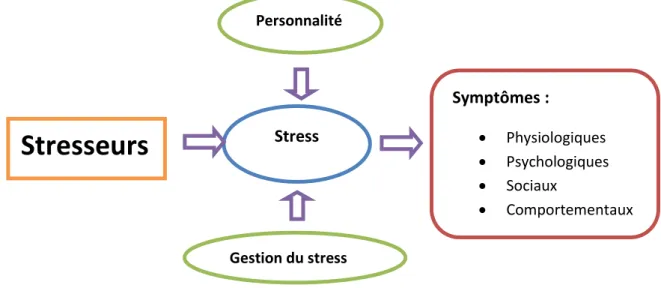 Figure 1 : apparition du stress 