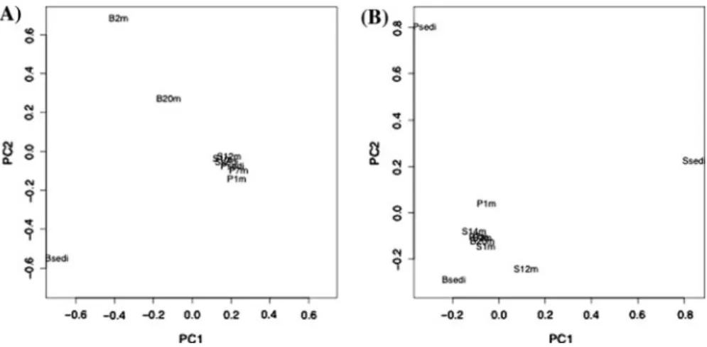 Table 2 Population P values for comparison of nirK and nirS clone libraries determined using the Cramer-von Mises statistic, implemented in LIBSHUFF