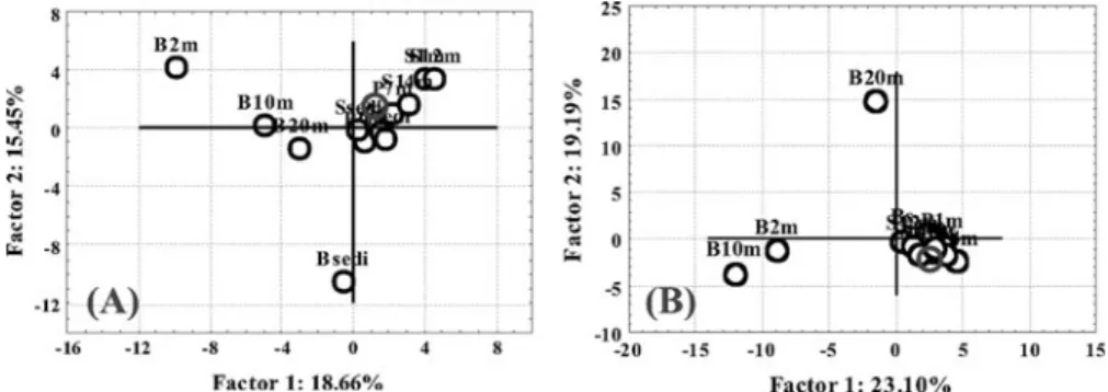Fig. 1 Principal