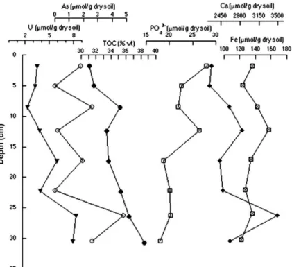 Fig. 5. Depth distribution of As (empty circle); Ca (ﬁlled diamond); PO 4 (empty square), Fe (crossed square), U (upside down ﬁlled triangle), and TOC (ﬁlled circle) in core C3a.