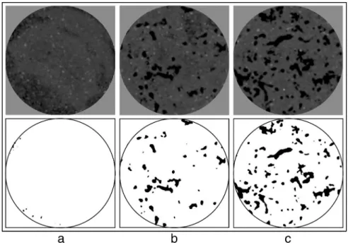 Fig. 1.Example of gray level images and porosity segmentation (voids in black and soil matrix in white) from one slice of urban soil material without (a) and with earthworms after one (b) and three months (c) of incubation.