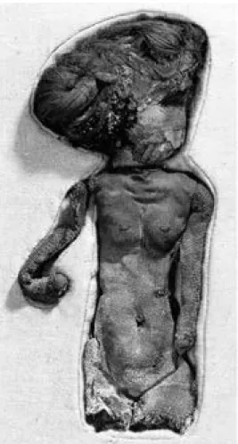 Fig. 10. Lin bourré de papyrus (H. 13 cm). Londres, Petrie Museum, UC 28024 (Janssen 1996, p