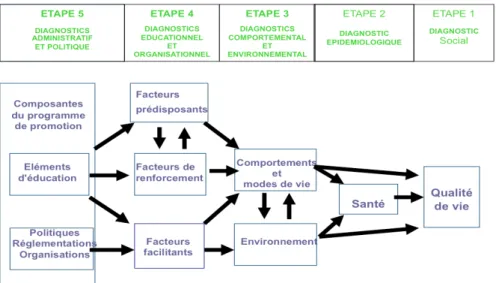 Tableau  4 :  Green,  L.  &amp;  Kreuter,  M.  (1991).  Health  Promotion  Planning  (2 nd   Ed.)  Montain  View :  Mayfield Publishing Co