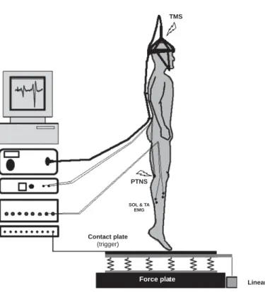 Figure 2 displays the main protocol.