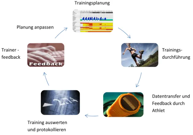Abbildung 1. Der Kreislauf des Trainingssteuerung