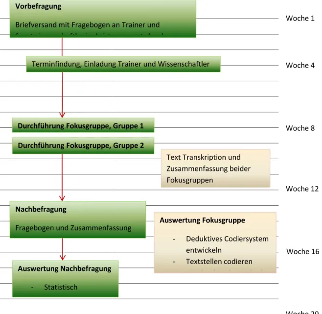 Abbildung 3. Ablauf der UntersuchungVorbefragung