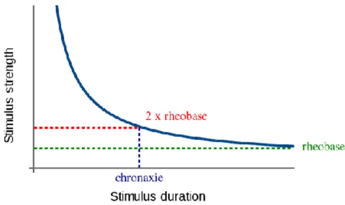 Fig. 3 : représentation graphique des points de la chronaxie et de la rhéobase   en fonction du la force du stimulus et de sa durée 