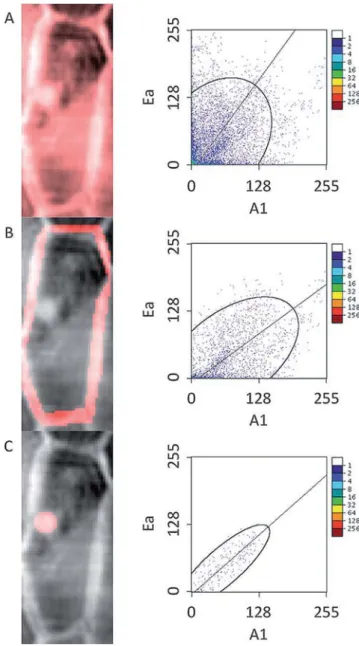 Figure 4. 2D histograms of bands A1 and Ea in different subvolumes of the reconstructed cell