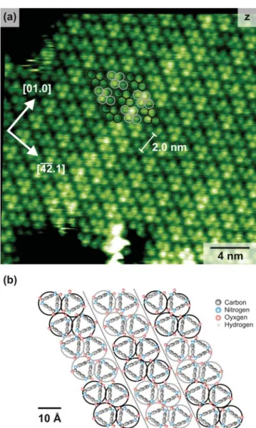 Figure 4. (a) High-resolution NC-AFM topography image of a self- self-assembled wetting layer of cyclic tri(p-benzamide) 7 on the calcite(10.4) surface