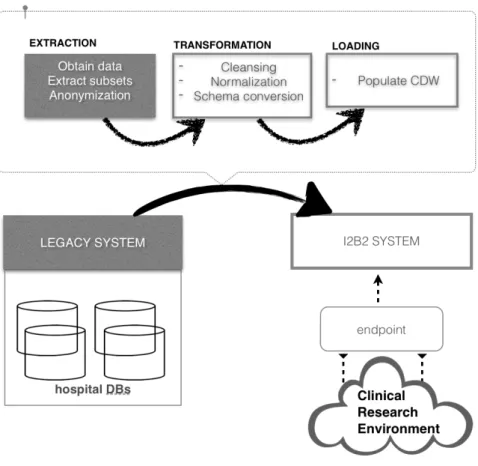 Figure 1. Information Workflow. The Intranet components are shown in colour.  