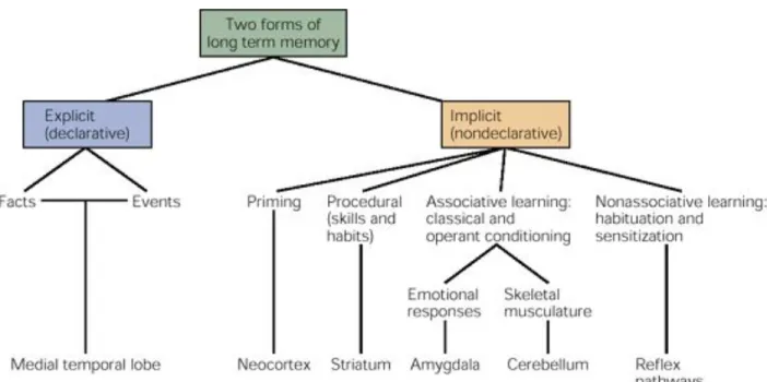 Fig. 2: Different forms of memory and learning. Reprinted from Principles of Neural Science (p.1248- (p.1248-1231), by E.R