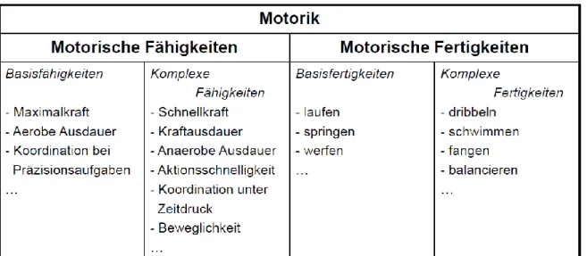 Abb. 3: Differenzierung des motorischen Gegenstandsbereiches in Fähigkeiten und Fertigkeiten (aus Bös, 2001,  S
