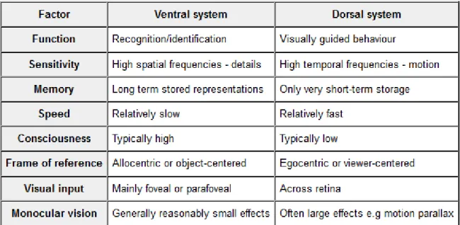 Fig.  11:  the  main  differences  differentiating  the  two  distinct  visual  processing  streams  in  the  original model (Norman, 2002) 6