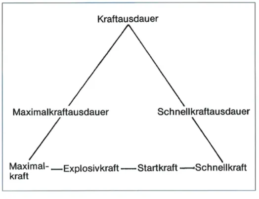 Abbildung 8: Die drei Hauptformen der Kraft (Weineck 2007, S.372) 