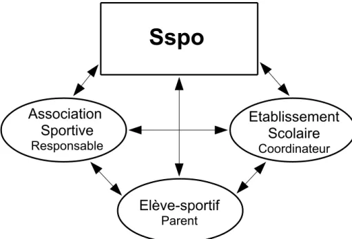 Illustration 4: Schéma représentant la coordination nécessaire entre  les différents acteurs du programmes SAF.