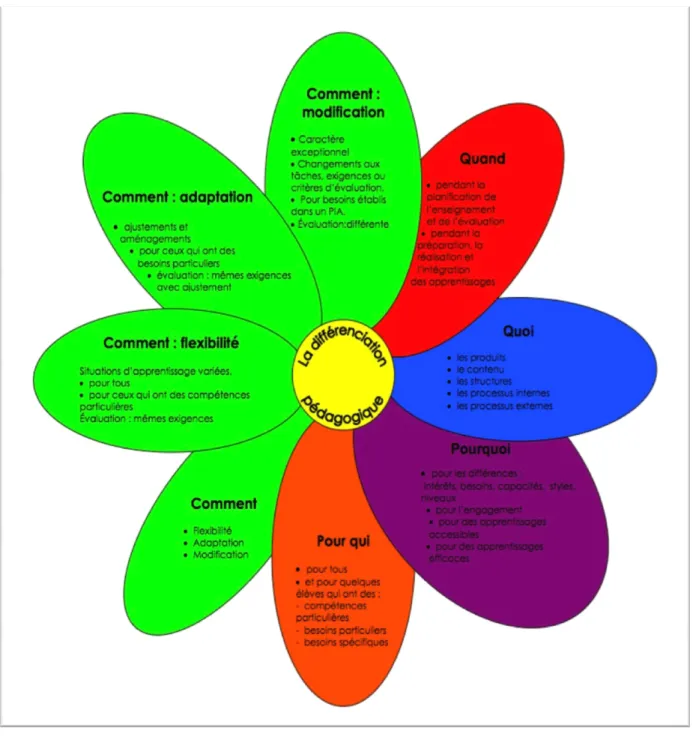 Figure 1 -  http://www.csdesssommets.qc.ca/csdessommets/Carrefour_pedagogique - La marguerite de la  différenciation