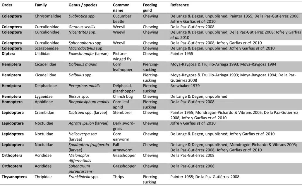 Table 1 Herbivores associated with teosinte and maize shoots  