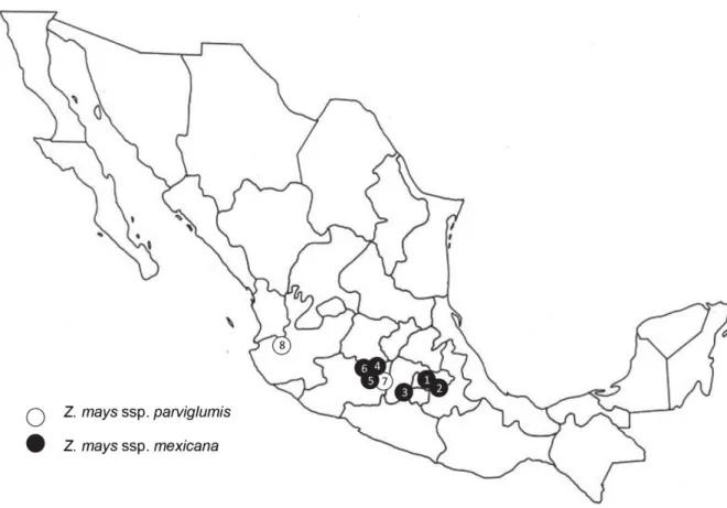 Fig. 1 Approximate location of the survey sites of eight teosinte populations in Mexico 