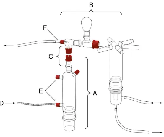 Fig. 1 An overview of the six‐arm olfactometer, suitable to test the attractiveness of extracts of collected plant  volatiles for parasitoid wasps. A: Glass bottle. B: Wasp central choice chamber and insect trapping bulb. C: Odor  source, glass tube with  