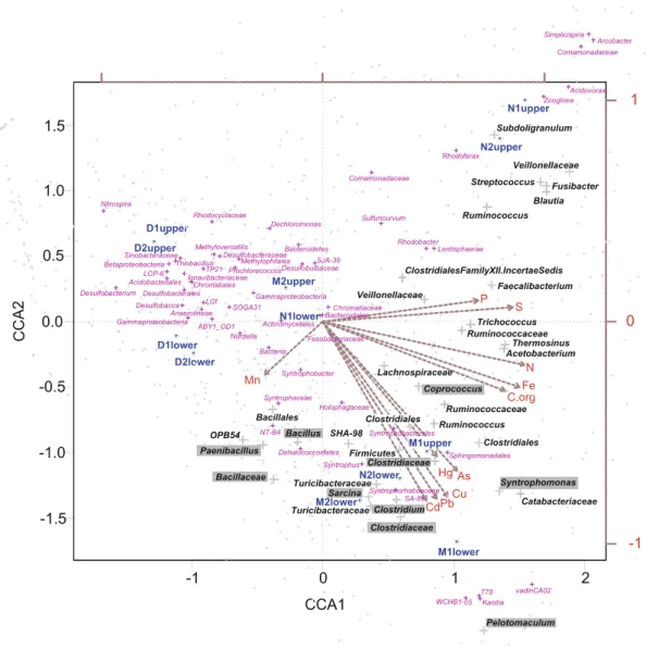 Fig. 4 Canonical correspondence analysis (CCA) triplot of the samples (blue text and dots) based on the bacterial groups identified in the sediment of the Vidy Bay and constrained by environmental variables