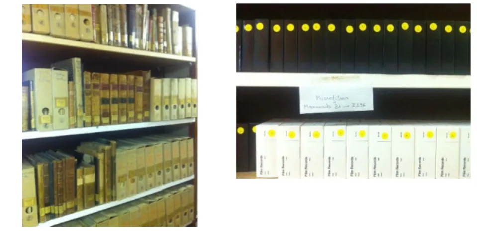 Figure 3 : Présentation de la collection : manuscrits et microfilms 