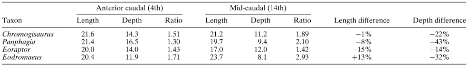 TABLE 1. Measurements (in mm) and ratios of anterior and mid-caudal vertebrae of several basal dinosaurs from the Ischigualasto Formation.